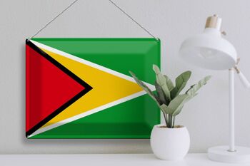 Signe en étain drapeau Guyane 40x30cm drapeau de la Guyane 3