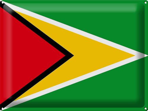 Blechschild Flagge Guyana 40x30cm Flag of Guyana