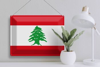 Signe en étain drapeau du Liban 40x30cm, drapeau du Liban 3