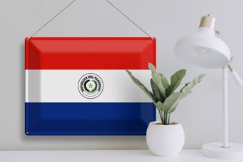 Signe en étain Drapeau du Paraguay 40x30cm Drapeau du Paraguay 3