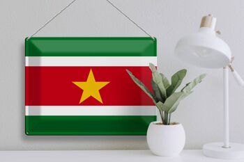 Signe en étain drapeau Suriname 40x30cm drapeau du Suriname 3