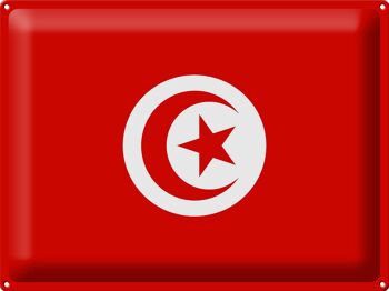 Signe en étain Drapeau de la Tunisie 40x30cm Drapeau de la Tunisie 1