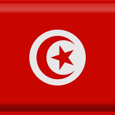 Targa in metallo Bandiera Tunisia 40x30 cm Bandiera della Tunisia