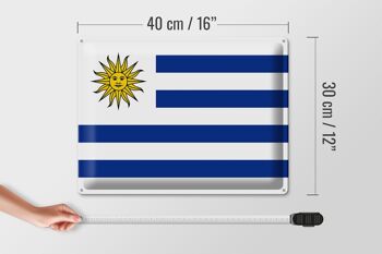 Signe en étain Drapeau de l'Uruguay 40x30cm Drapeau de l'Uruguay 4