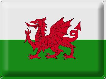 Signe en étain drapeau du pays de Galles 40x30cm drapeau du pays de Galles 1