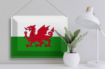 Signe en étain drapeau du pays de Galles 40x30cm drapeau du pays de Galles 3
