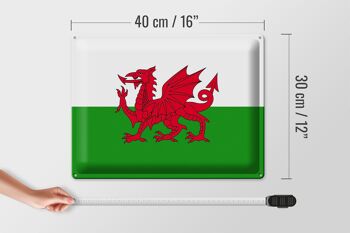 Signe en étain drapeau du pays de Galles 40x30cm drapeau du pays de Galles 4