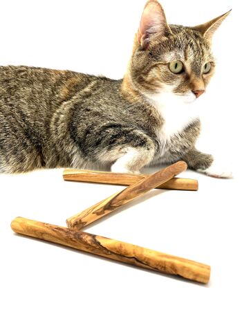 Os à mâcher en bois d'olivier pour petit chien ou chat (lot de 3) 1