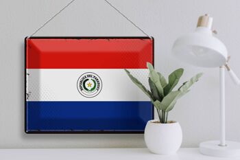 Signe en étain drapeau du Paraguay 40x30cm, drapeau rétro du Paraguay 3