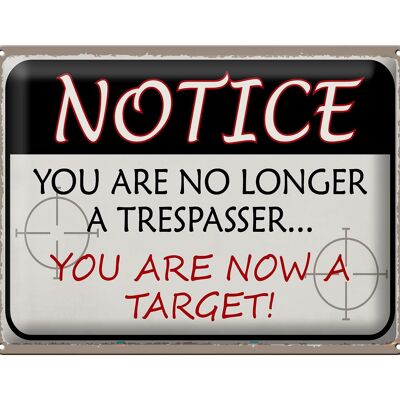 Blechschild Spruch 40x30cm notice you no longer trespasser