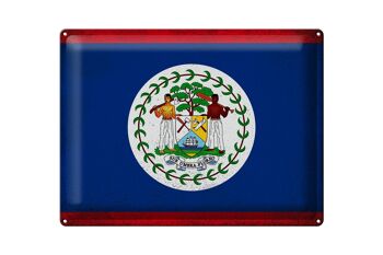 Signe en étain drapeau Belize 40x30cm drapeau du Belize Vintage 1