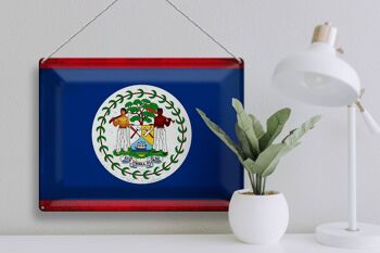 Signe en étain drapeau Belize 40x30cm drapeau du Belize Vintage 3