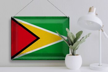 Signe en étain drapeau Guyane 40x30cm drapeau de Guyane Vintage 3