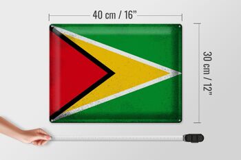 Signe en étain drapeau Guyane 40x30cm drapeau de Guyane Vintage 4