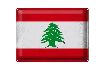Signe en étain drapeau liban 40x30cm, drapeau du liban Vintage 1