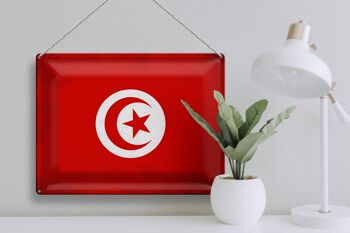 Signe en étain drapeau tunisie 40x30cm drapeau de tunisie vintage 3