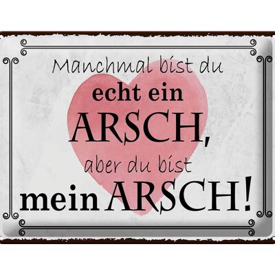 Blechschild Spruch 40x30cm manchmal bist du ein ARSCH aber