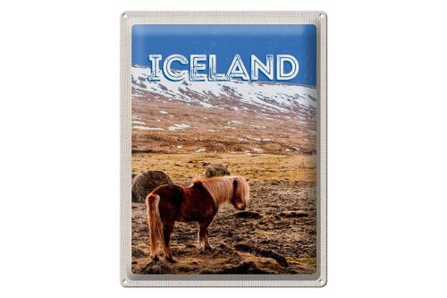 Blechschild Reise 30x40cm Iceland Pony icelandic horse Geschenk