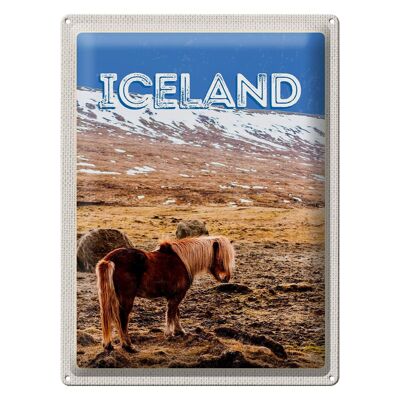 Cartel de chapa de viaje 30x40cm pony islandés caballo islandés regalo