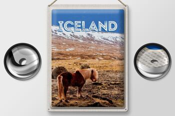 Signe en étain voyage 30x40cm, poney d'islande, cheval islandais, cadeau 2