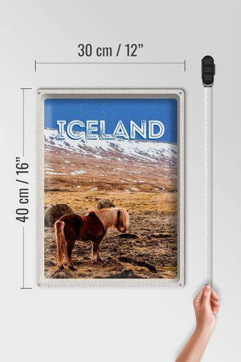 Signe en étain voyage 30x40cm, poney d'islande, cheval islandais, cadeau 4