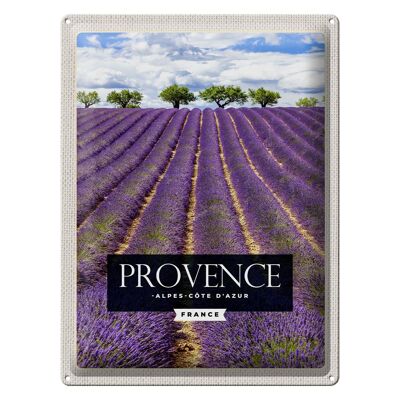 Cartel de chapa Travel 30x40 Provenza Alpes Costa Azul Lavanda