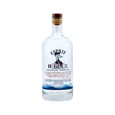 ESPRIT GIN - FRENCH ARTISANAL GIN DISTILLED 2 TIMES - 70 CL - 40%