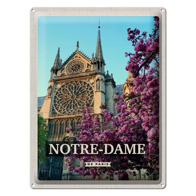 Targa in metallo da viaggio 30x40 cm Notre-Dame de paris destinazione di viaggio vacanza