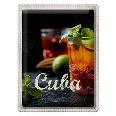 Blechschild Reise 30x40cm Cuba Karibik Cocktail Limette Minze