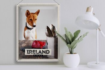 Signe en étain voyage 30x40cm, irlande Europe Steak Dog Island 3