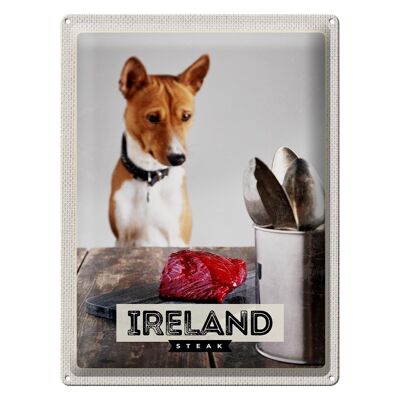 Cartel de chapa de viaje, 30x40cm, Irlanda, Europa, Steak Dog Island