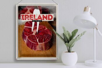 Signe en étain de voyage 30x40cm, nourriture irlandaise, viande de Steak rouge 3