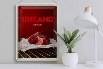 Plaque en tôle voyage 30x40cm Irlande meilleur steak rouge au four 3
