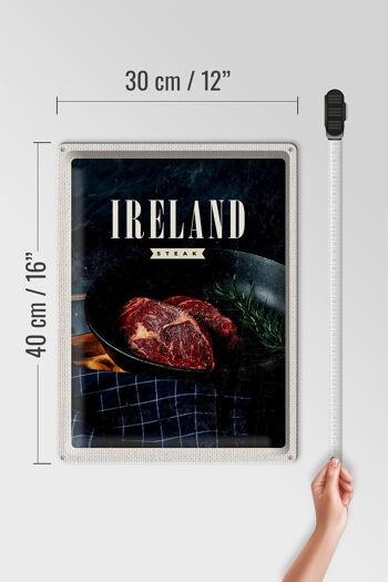 Plaque en tôle voyage 30x40cm Irlande steak poivre frit 4
