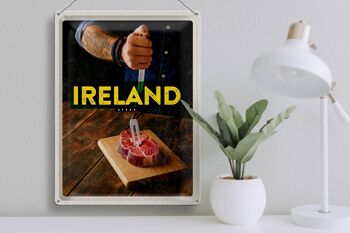 Panneau en étain voyage 30x40cm, Irlande, Irish Hereford Steak 3
