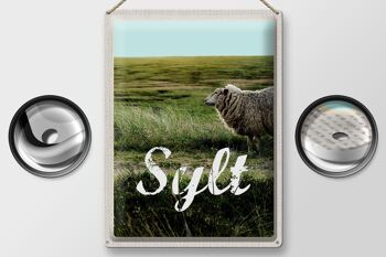 Signe en étain voyage 30x40cm, île de Sylt, vacances, prairie, mouton 2