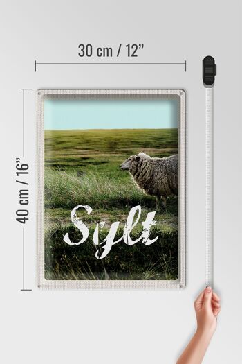 Signe en étain voyage 30x40cm, île de Sylt, vacances, prairie, mouton 4