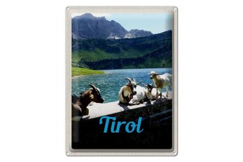 Panneau en étain voyage 30x40cm, Tyrol, autriche, chèvres, eau, nature 1