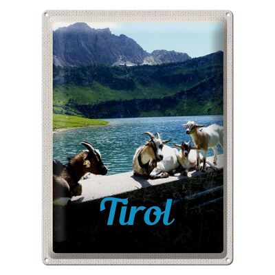 Blechschild Reise 30x40cm Tirol Österreich Ziegen Wasser Natur