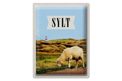 Blechschild Reise 30x40cm Sylt Stadt Urlaubsziel Wiese Urlaub