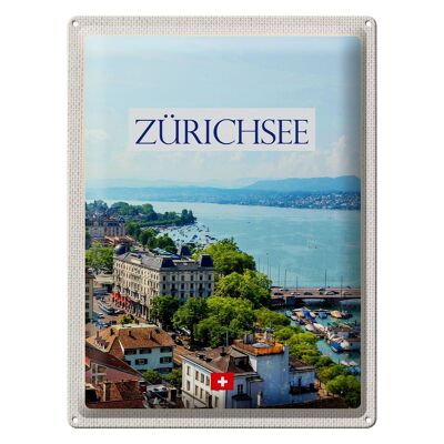 Blechschild Reise 30x40cm Schweiz Zürichsee Wald Stadt Gebirge