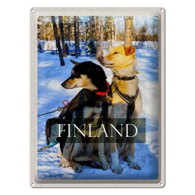 Blechschild Reise 30x40cm Finnland Schnee Winterzeit Wald Hunde