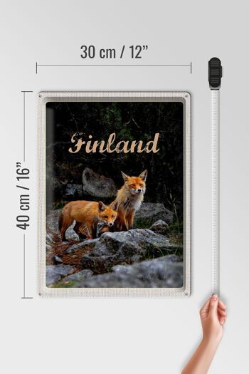 Signe en étain voyage 30x40cm, renards finlandais, animaux de la forêt, Nature 4