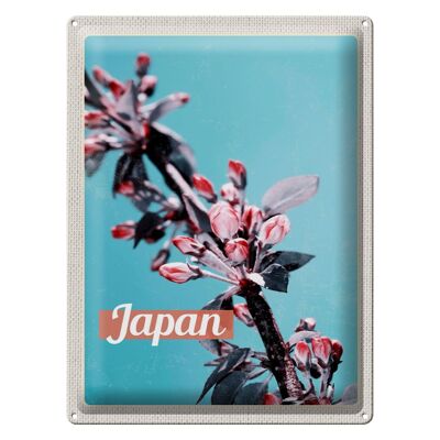 Cartel de chapa de viaje, 30x40cm, Japón, Asia, flores, árbol, brotes, vacaciones