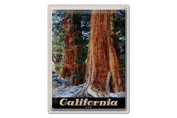 Panneau de voyage en étain, 30x40cm, californie, amérique, arbres forestiers naturels 1