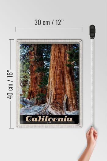 Panneau de voyage en étain, 30x40cm, californie, amérique, arbres forestiers naturels 4