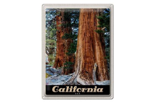 Blechschild Reise 30x40cm Kalifornien Amerika Natur Wald Bäume