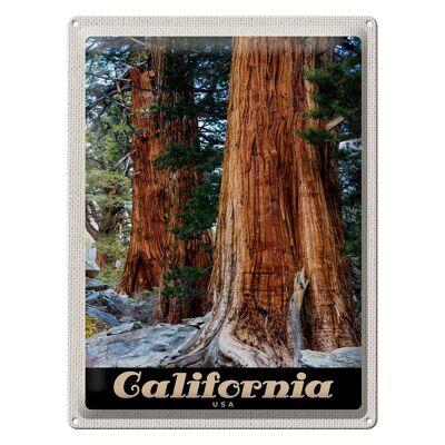 Targa in metallo da viaggio 30x40 cm California America Natura Foresta Alberi