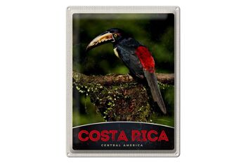 Signe en étain voyage 30x40cm, Costa Rica, amérique centrale, oiseau Nature 1