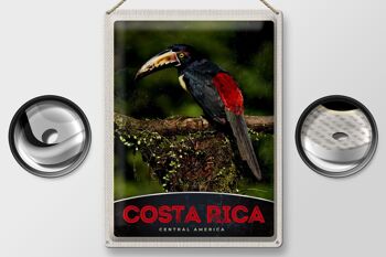 Signe en étain voyage 30x40cm, Costa Rica, amérique centrale, oiseau Nature 2